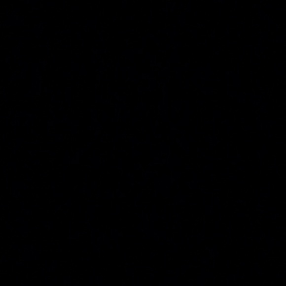 kalie_d12